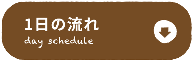 1日の流れ